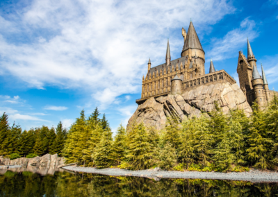 Protect The Castle