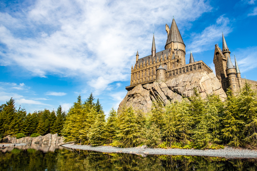 Protect The Castle