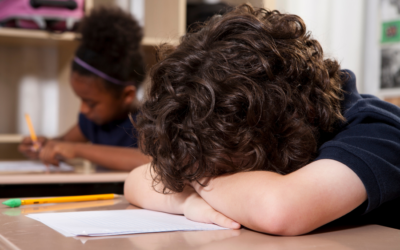 Understanding Student Behavior Through the Lens of SEL