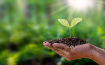 Mini-Lesson: Growing Together