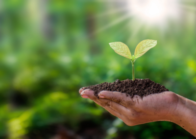 Mini-Lesson: Growing Together